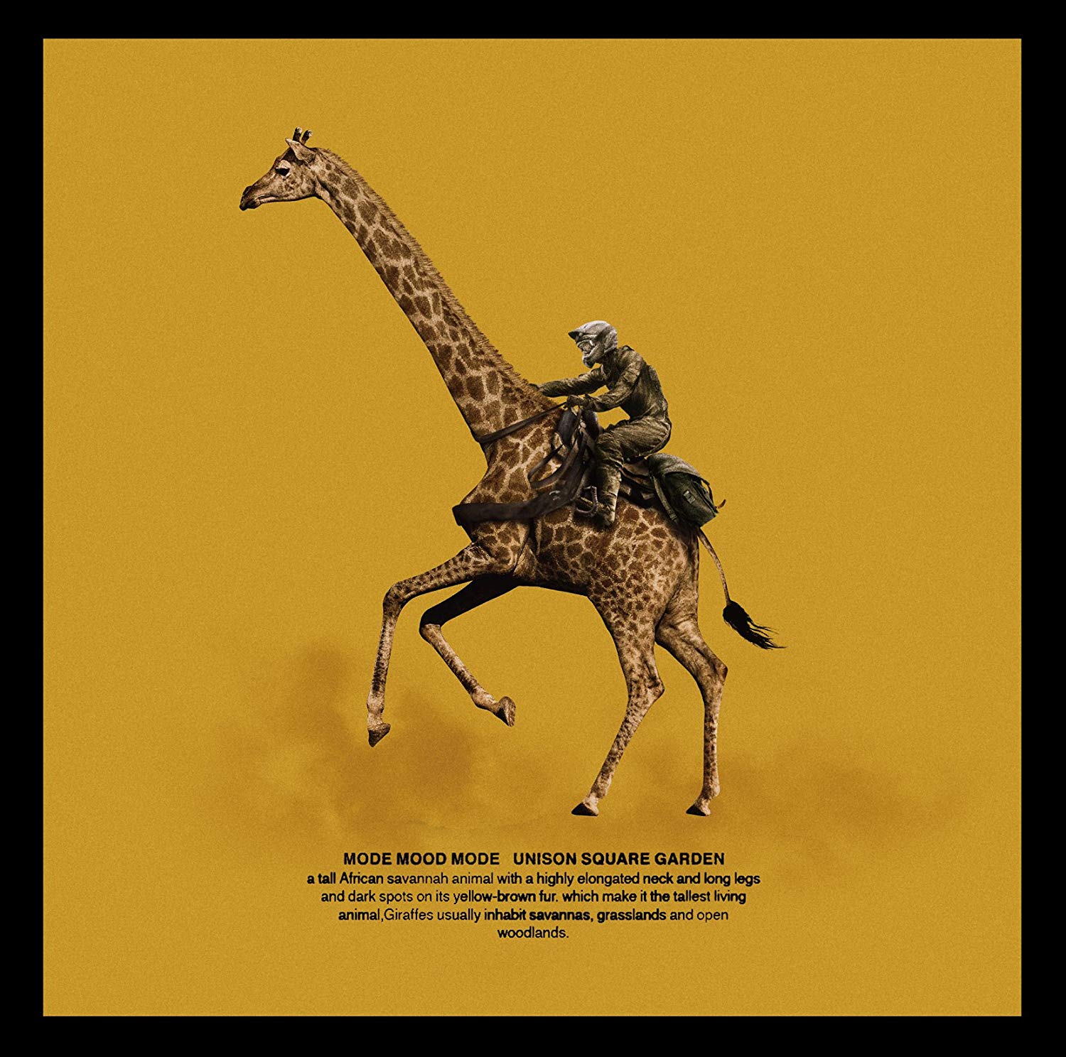 10 Roll 10 Romance 歌詞 Unison Square Garden ふりがな付 歌詞検索サイト Utaten