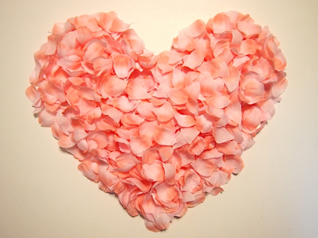 桜花ニ月夜ト袖シグレ 歌詞 そらる まふまふ ふりがな付 うたてん