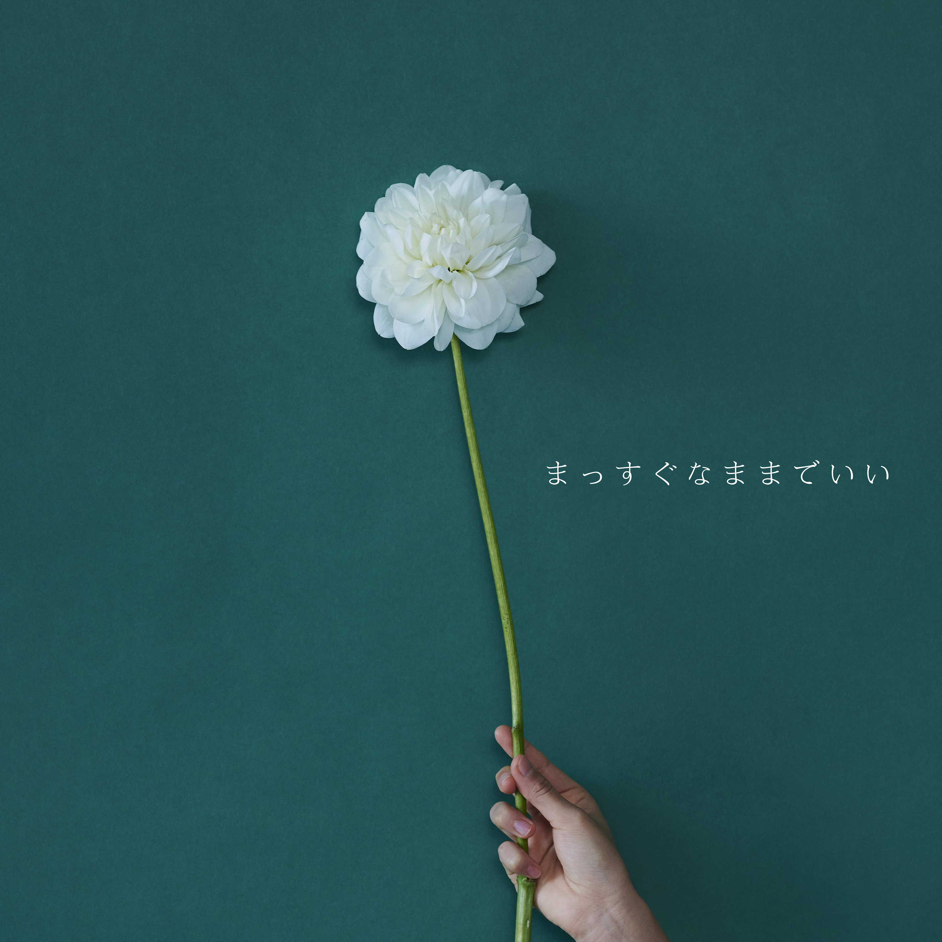 そばにいたいんです 歌詞 ひかりのなかに ふりがな付 歌詞検索サイト Utaten