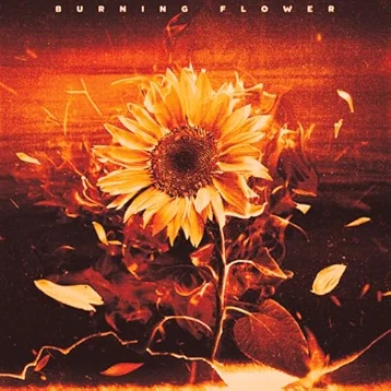 花歌 BACK TO THE GROUND/鵜島仁文 H2 OP2(1995年~1996年