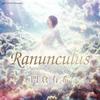 ラナンキュラス -Acoustic RememVer.- 歌詞