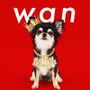 wan 歌詞