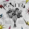 IGNITE 歌詞