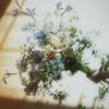 花束 歌詞