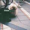 Teenage 歌詞