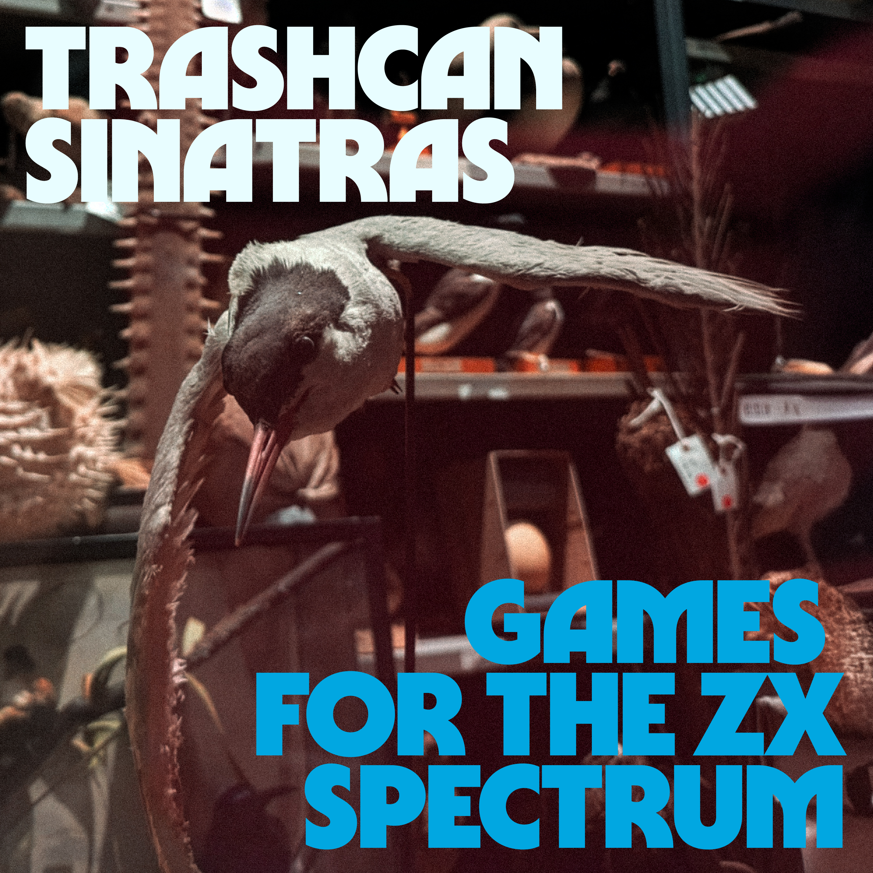 Games For The ZX Spectrum 歌詞 Trashcan Sinatras ふりがな付 - うたてん