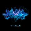 VOICE 歌詞