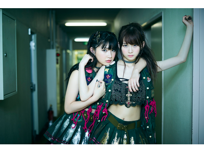 The Idol Formerly Known As LADYBABYのアーティストページ
