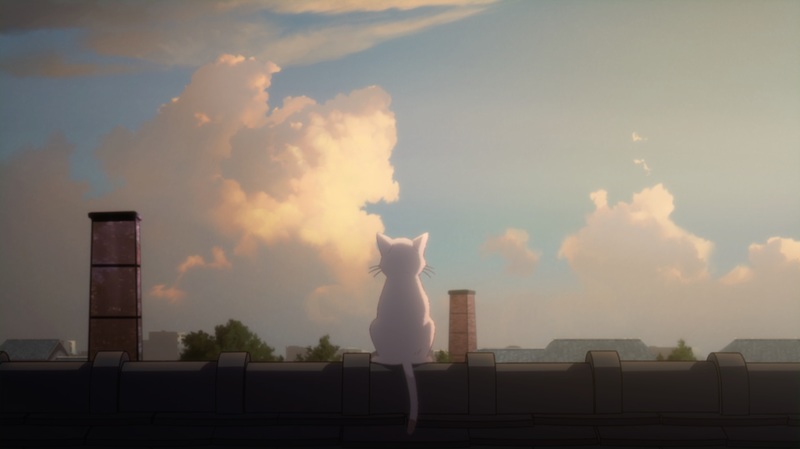 猫は悲しい時や痛い時に泣くのでしょうか？
