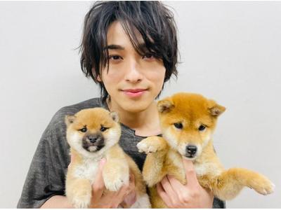 横浜流星 おもちより可愛いかも ハンオシ で人気のおもちにメロメロな姿が癒し 歌詞検索サイト Utaten ふりがな付