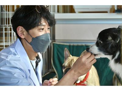 坂本昌行 ダンディーなイケオジビジュを披露 吉祥寺ルーザーズ で増田貴久と共演 歌詞検索サイト Utaten ふりがな付