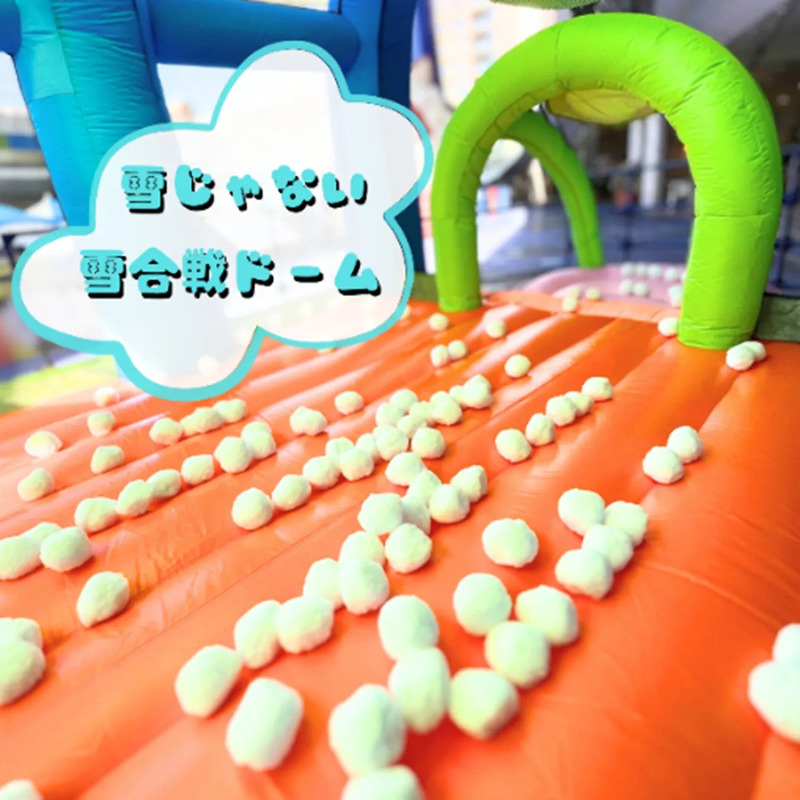 雪合戦ドームのイメージ画像