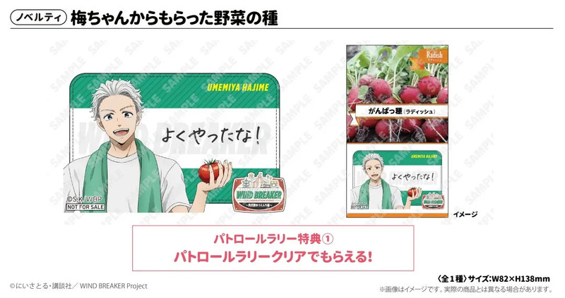 梅ちゃんからもらった野菜の種