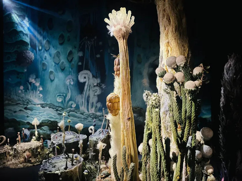 奇妙な植物やキノコが並ぶ、幻想的な空間を捉えた写真。背景には洞窟のような絵が描かれている。