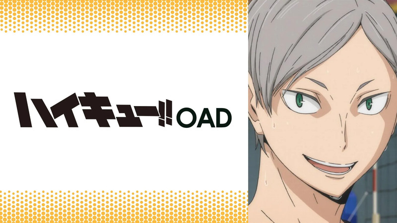 ハイキュー!! OAD