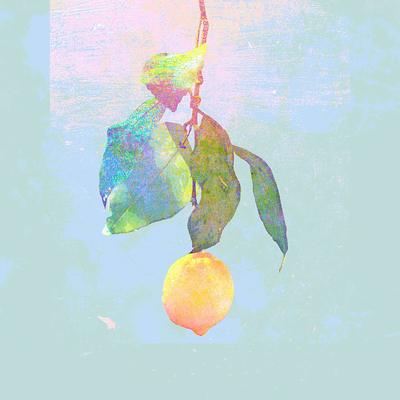 Lemon イラスト