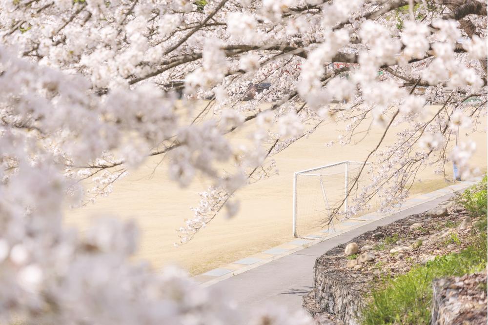 今日で学校生活ともサヨナラ 定番の卒業ソング５選 歌詞検索サイト Utaten ふりがな付